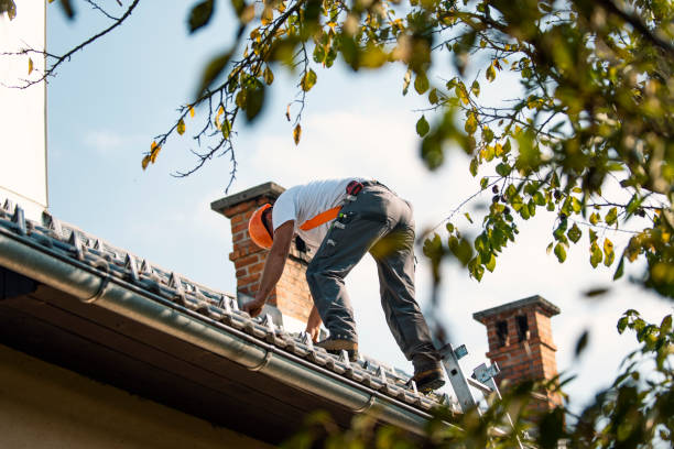 Best Roof Restoration Services  in Ashley, OH