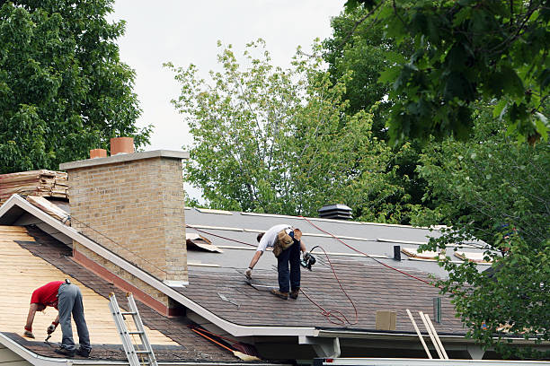 Best Roof Gutter Cleaning  in Ashley, OH