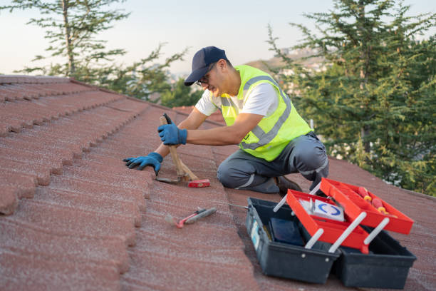 Best Roof Maintenance Services  in Ashley, OH