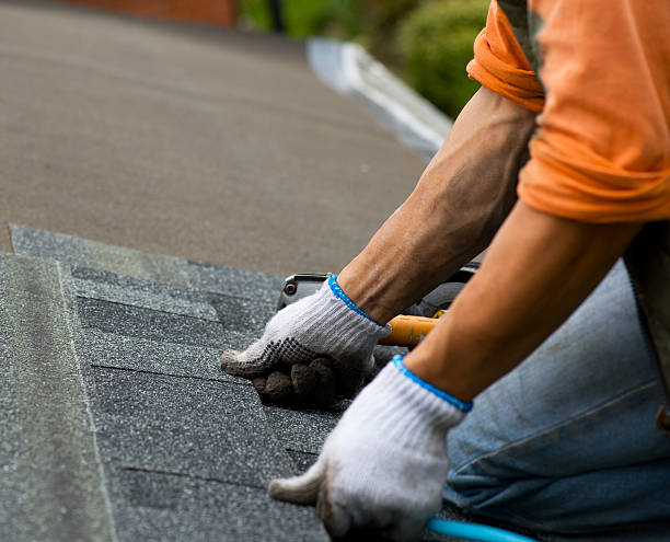 Best Affordable Roof Replacement  in Ashley, OH