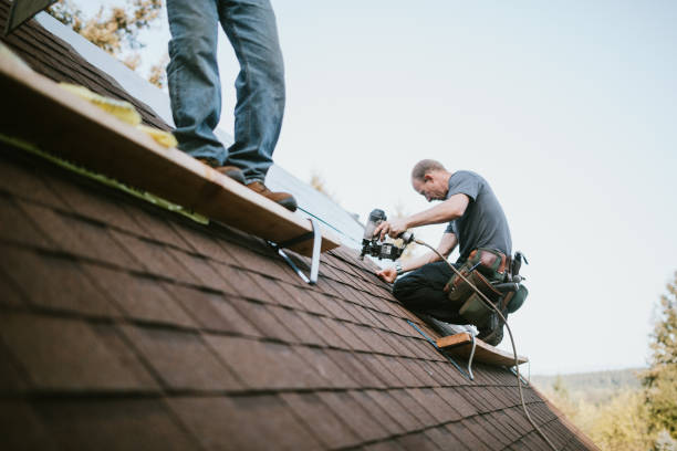 Best Storm Damage Roof Repair  in Ashley, OH